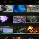 Image: Netflix. What are you???